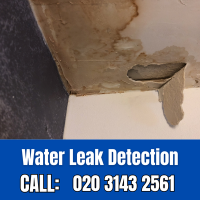 Expert Water Leak Detection Services in Perivale | Perivale Leak Detection